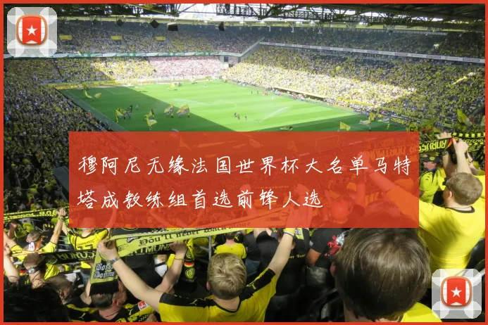 穆阿尼无缘法国世界杯大名单马特塔成教练组首选前锋人选