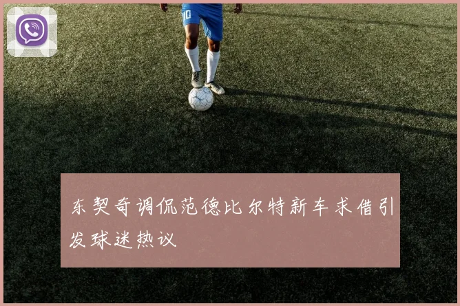东契奇调侃范德比尔特新车求借引发球迷热议